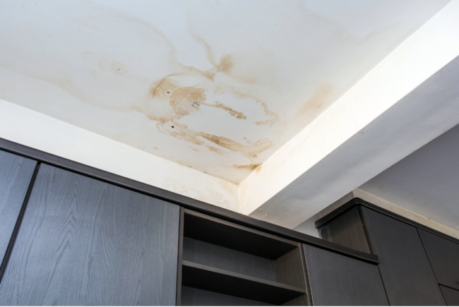 Water Damage Spot Water Damage Spot