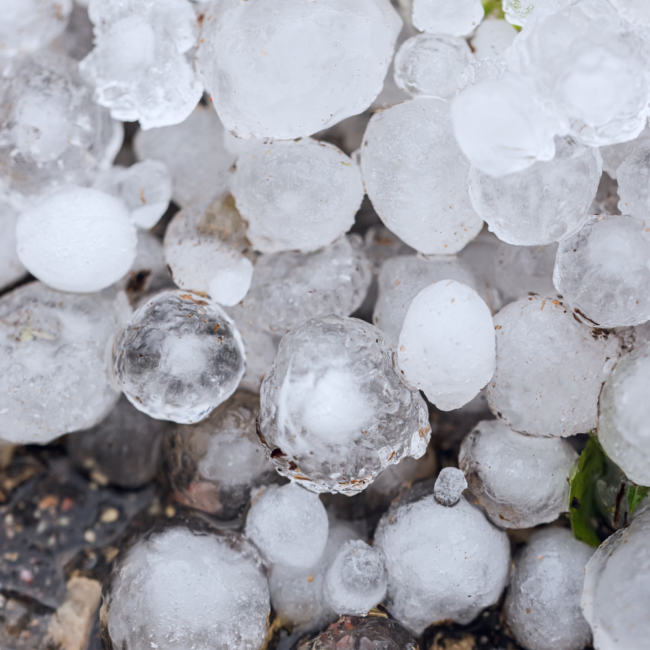 1 Hail Damage Colorado