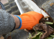 Fall Home Maintenance Colorado